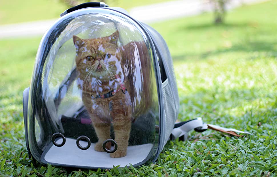 Aswe EVA case Custom Pet Travel Carrier Bag Transparent Bubble Space Capsule Pet Cat Carrying Carrier Backpack