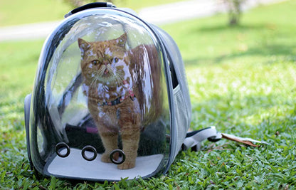 Aswe EVA case Custom Pet Travel Carrier Bag Transparent Bubble Space Capsule Pet Cat Carrying Carrier Backpack