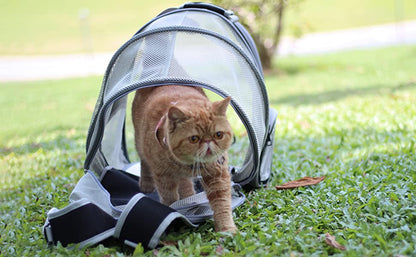 Aswe EVA case Custom Pet Travel Carrier Bag Transparent Bubble Space Capsule Pet Cat Carrying Carrier Backpack