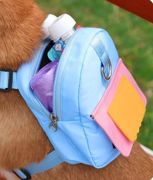 Aswe EVA case Custom  outdoor travel dog small backpack pet supplies Pet backpack cartoon dog bag